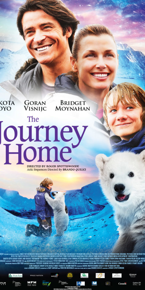 Journey Home Poster